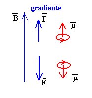 fuerza.gif (1213 bytes)